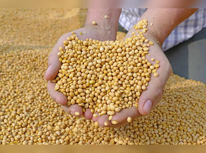 Low supplies, demand by oil mills may raise soya prices