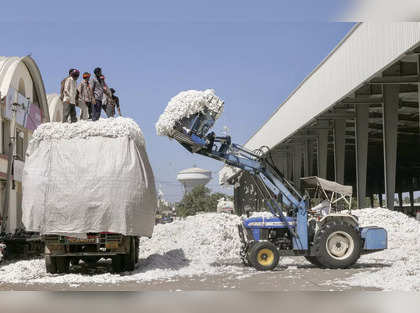CAI pegs November cotton arrivals at 77 lakh bales