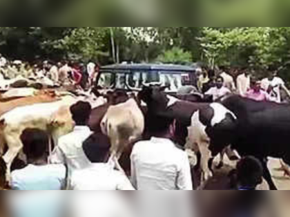 FIR against 90 people in Bareilly for blocking UP animal husbandry minister's convoy with stray cattles