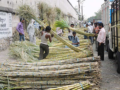 Sugar mills owe Rs 10,541 crore to cane farmers as on July 15