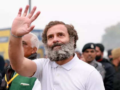 Protecting Constitution true tribute to freedom fighter: Rahul Gandhi