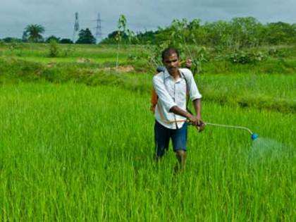 Dhanuka Agritech Ltd to set up pesticides formulation facility in Rajasthan