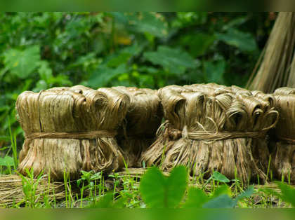 Mixed year for jute, govt provided relief for industry to bounce back