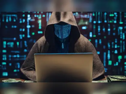 2024 was the year digital arrest scams became mainstream. One person's  fightback holds a mirror to the system - The Economic Times