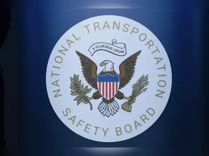 Pilot killed in North Carolina plane crash while trying to save Turtle on runway