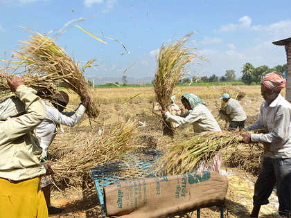 Banking on normal monsoon, Centre sets record foodgrain target