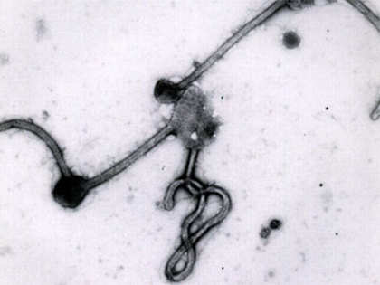 Health officials draw up plan of action to keep Ebola at bay