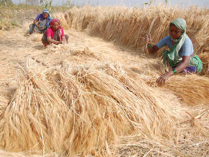 FCI to sell wheat in open market to non-procuring states in FY16
