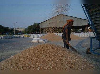Govt buys 196 lakh tonne wheat so far, higher than annual demand of 186 lakh ton for welfare schemes