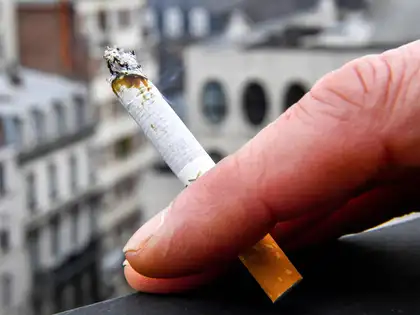 is british american tobacco a good company to work for UK Visa Jobs at BRITISH AMERICAN TOBACCO P.L.C. | Licensed Sponsor Profile