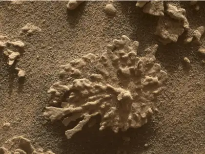 Mars just got weirder: Curiosity rover spots coral-shaped rock formed by  ancient water - The Economic Times