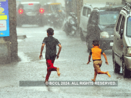 India sees 2017 monsoon rains at 98% of long-term average