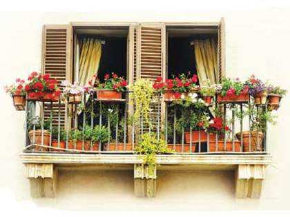 Some design tips for your balcony garden - The Economic Times