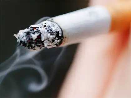 cheap version of premium pipe tobacco Premium Pipe Tobacco Blends for Sale Online | The Cigar Merchant