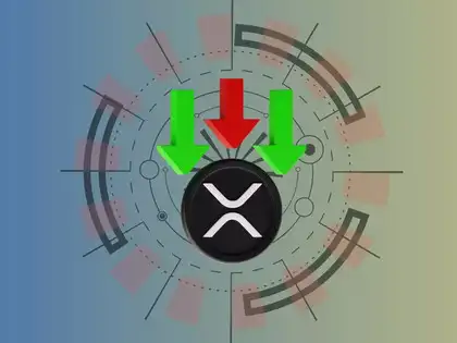 Best XRP Twitter Accounts to Follow for News & Analysis Main