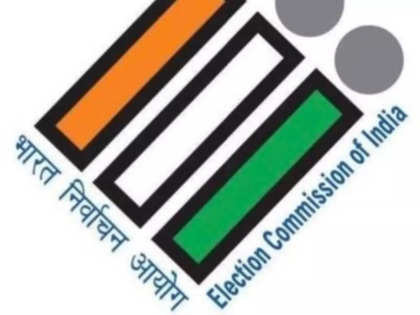 False campaign being run to discredit LS polls, says EC on turnout figure claims