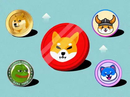 From Whimsy to Wealth: The Wild World of Meme Coins