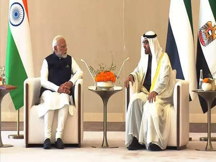 India signs BIT with UAE to further promote investments