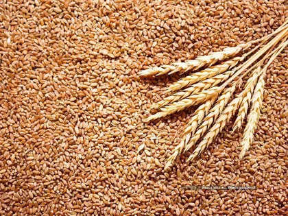 Rice output may drop by about 10 million tonnes in 2022-23