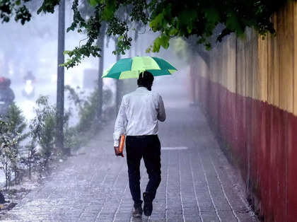 India to see normal monsoon, but some states at risk of deficit rainfall in peak months: Skymet