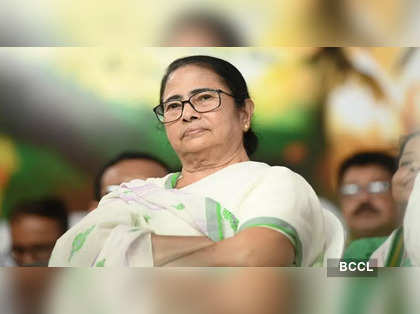 Kolkata Doctor Case: 'Reclaim Nights' protest conspiracy by Centre, CPIM, says CM Mamata Banerjee