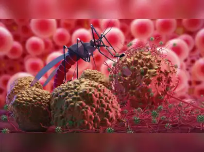 The Stealth Approach of Zika Virus: New Insights into Its Infection Mechanism