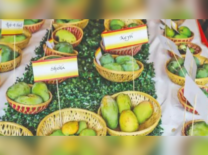 National Mango Day: Celebrating India's beloved fruit and its rich cultural heritage