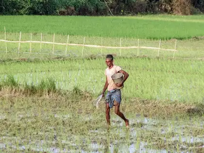 Porn Picture