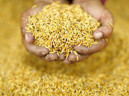 Over 6 lakh metric tonnes paddy arrives in Haryana