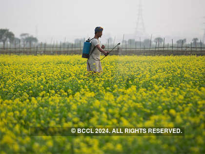 Summer-crop planting across India is 12% higher than it was last year