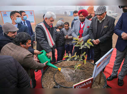 Mega nursery in J&K near Pakistan border all set to cater to local fruit growers this monsoon