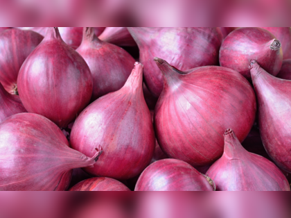 Government to begin procurement of 5 lakh tonnes of rabi onion in 2-3 days to protect farmers' interest