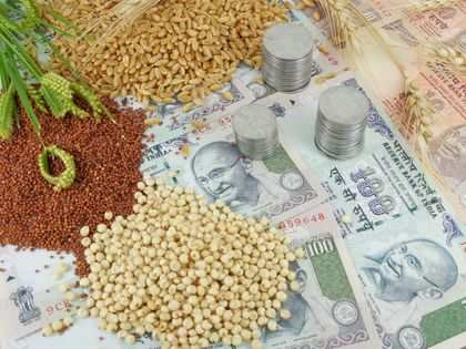 Pulses, oil seed prices firm up on rains, pest attacks