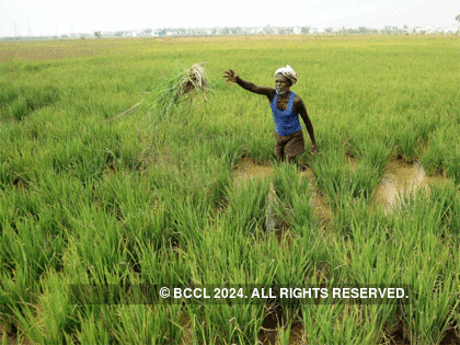 Farmers prepare for Kharif crops as monsoon sets in
