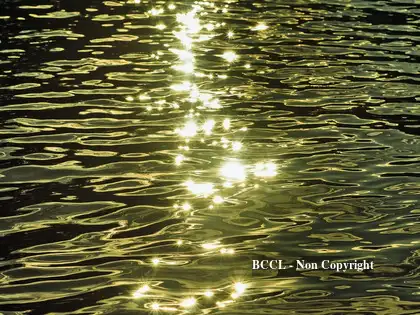Image for India has a solar land problem. Its reservoirs may hold the answer