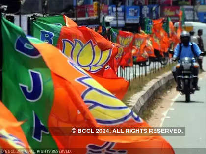 BJP announces 22 candidates for Rajya Sabha polls; to support two independents