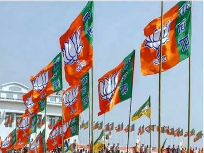 BJP names state in charges, presidents