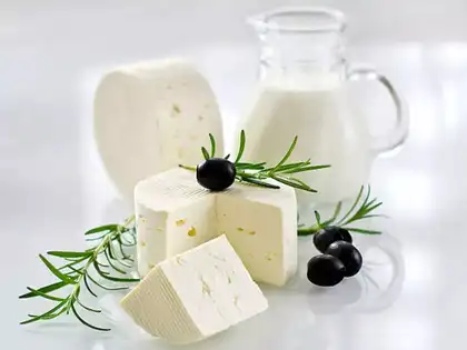 Indian doctor claims paneer, milk is not vegetarian food. Netizens school her for judging 'cruelty free food'