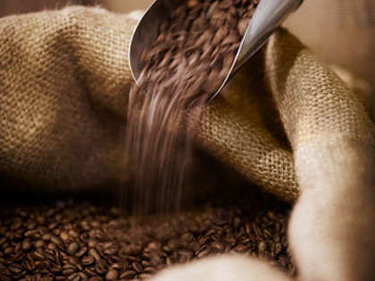 Coffee exports up 38% in January on strong global prices