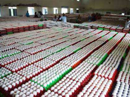 Avian flu impedes India's Rise to the top in egg export