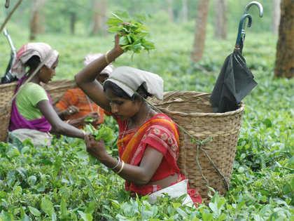 Long pending tea workers wage issue is brewing up as a major crisis