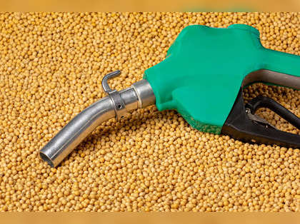 Biofuel boom to push US soy meal exports to record high