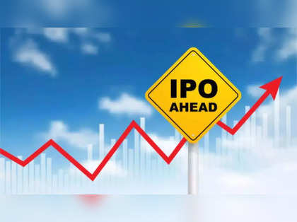 Slone Infosystems IPO opens today: Check issue size, price band, GMP and other details