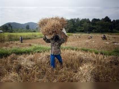 PM Manmohan Singh for shifting farmers to non-agri jobs to raise income