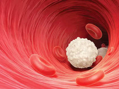 Scientifically engineered white blood cells can stall cancerous growth: Study