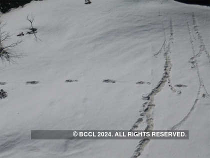 Yeti | Indian Army: Army's 'Yeti' pic draws disbelief, ridicule online