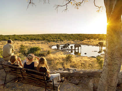 Embrace the animal kingdom in Namibia or feel the adrenaline rush in HK, plan a holiday with the kids this summer