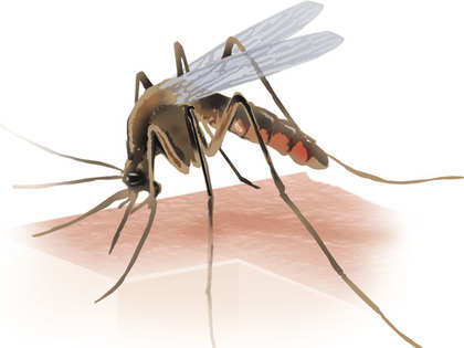 30-fold rise in dengue cases worldwide in last 50 years, says MoS Health Shripad Naik