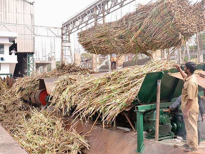 Duty perks to help sugar producers pay Rs.20,000 crore dues