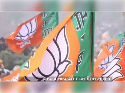 BJP MLA resigns from Gujarat assembly ahead of Lok Sabha polls